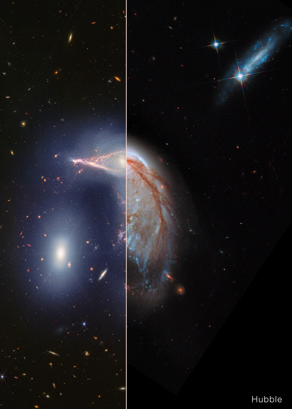 The Penguin · Arp 142