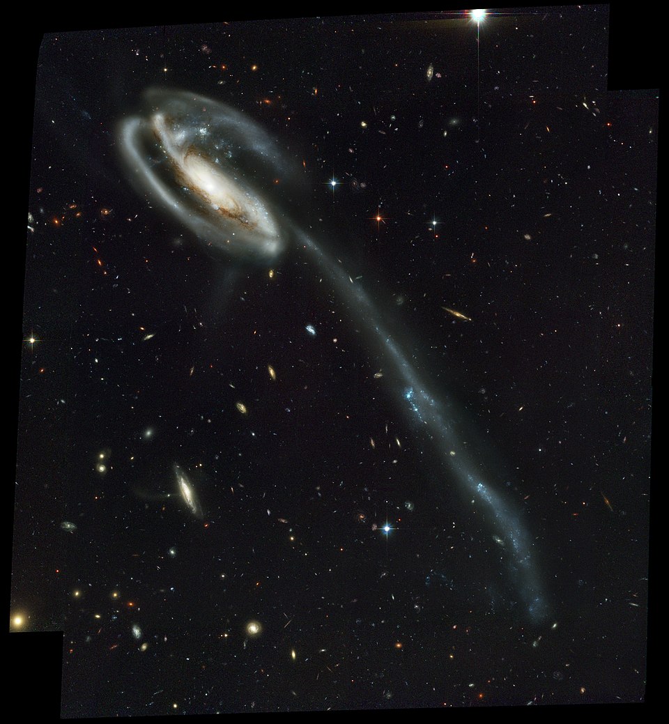 The Tadpole Galaxy