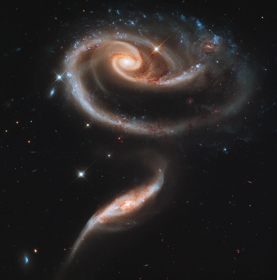 The Rose Galaxies