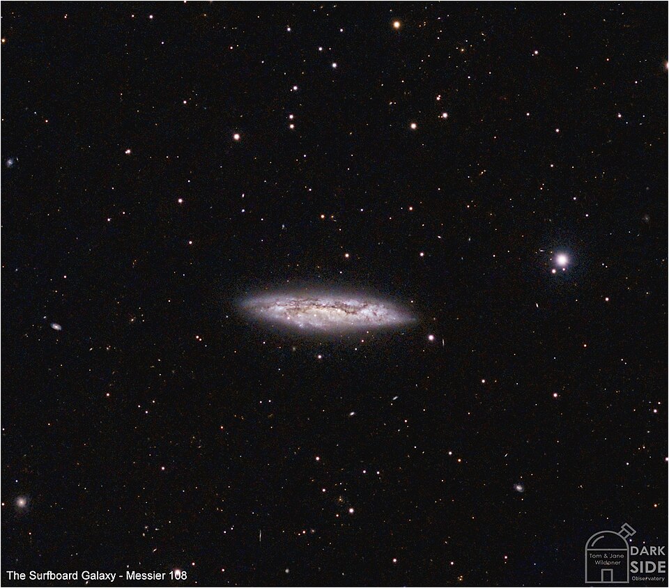 The Surfboard Galaxy