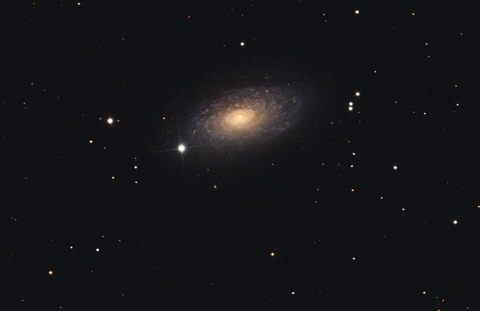 The Sunflower Galaxy