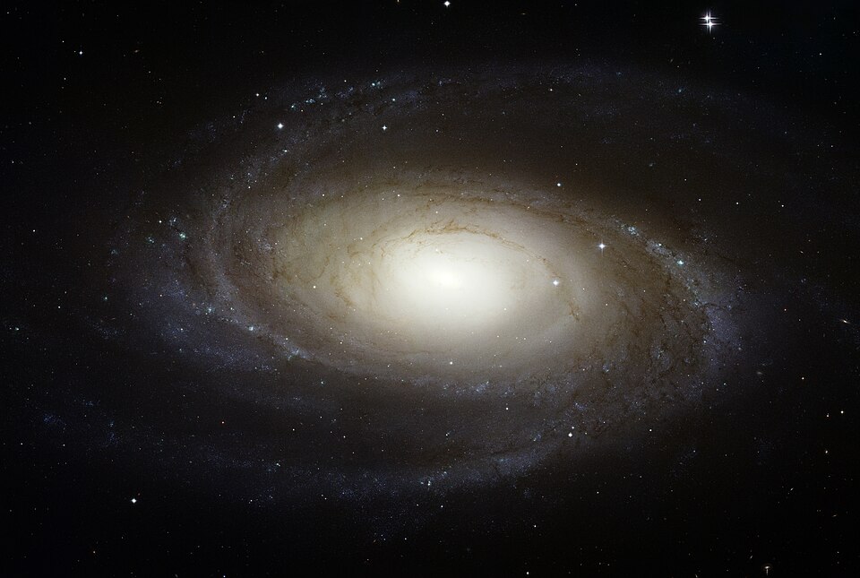 Bode's Galaxy