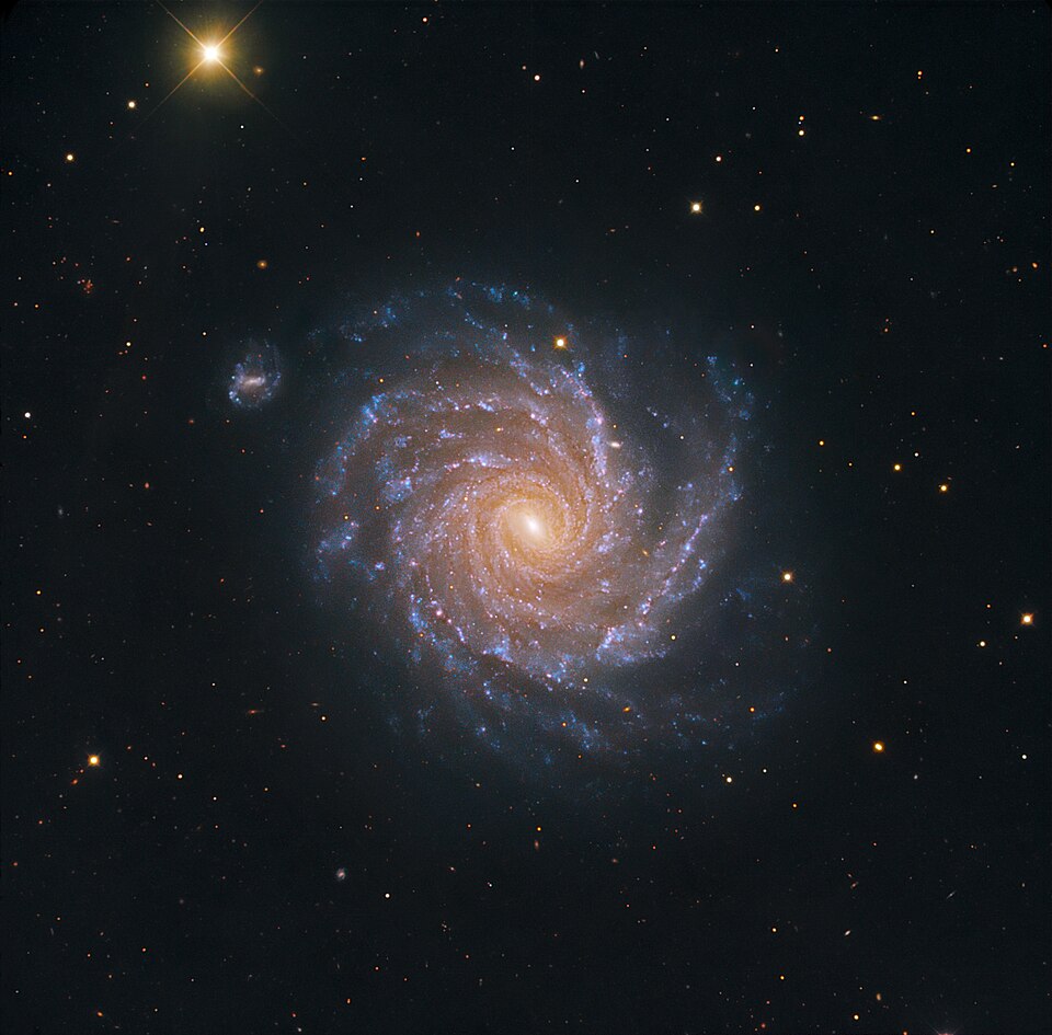NGC 1232