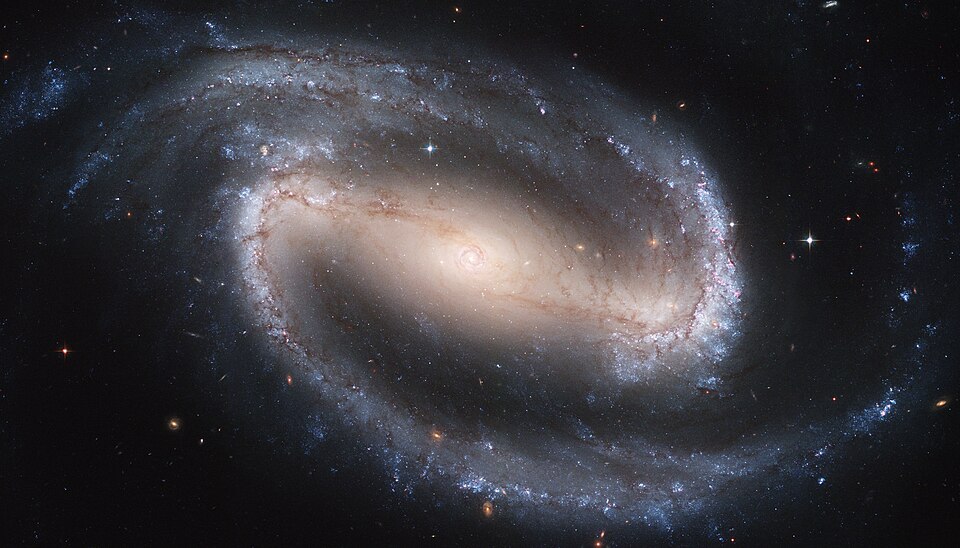 The Barred Spiral