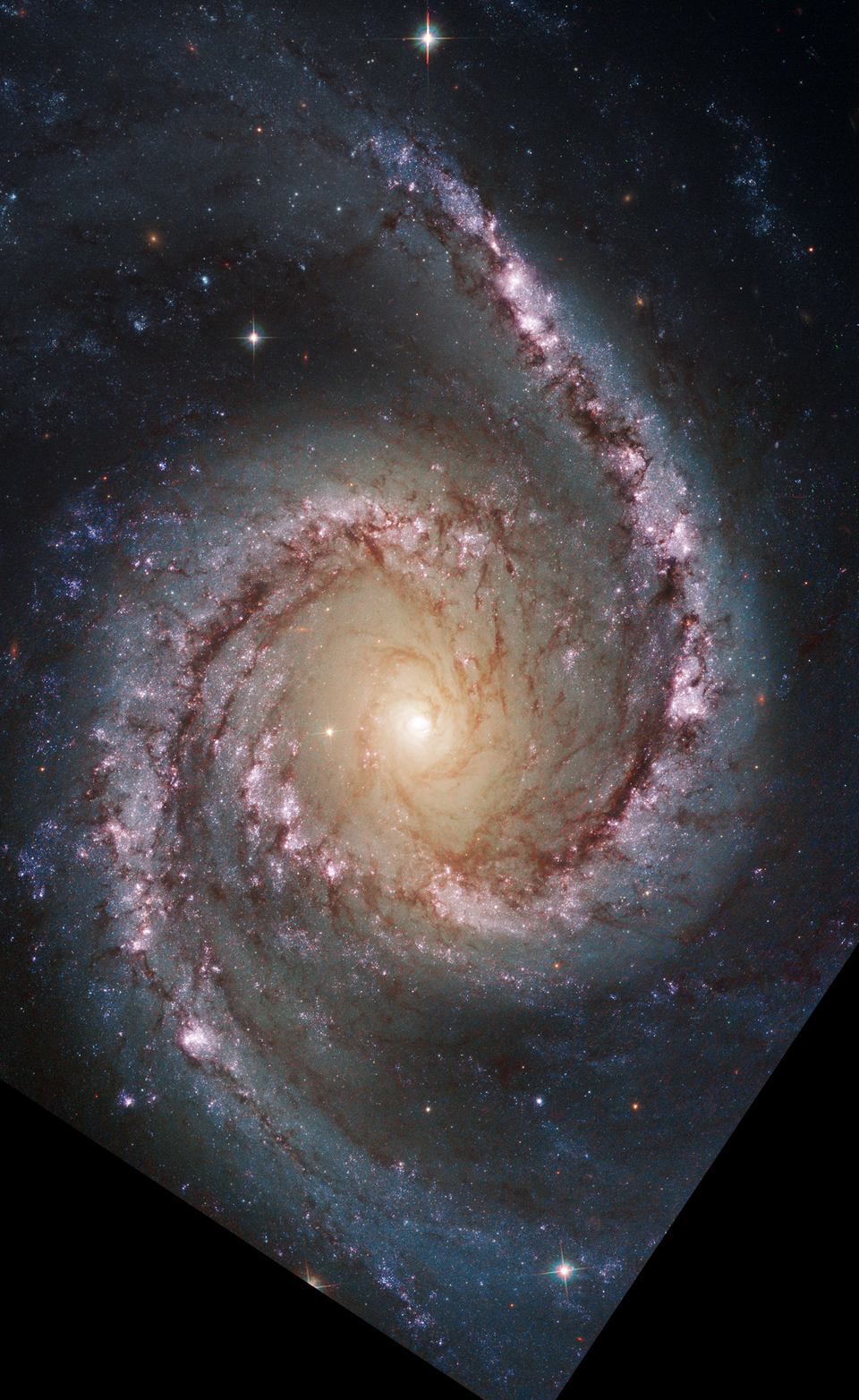NGC 1566