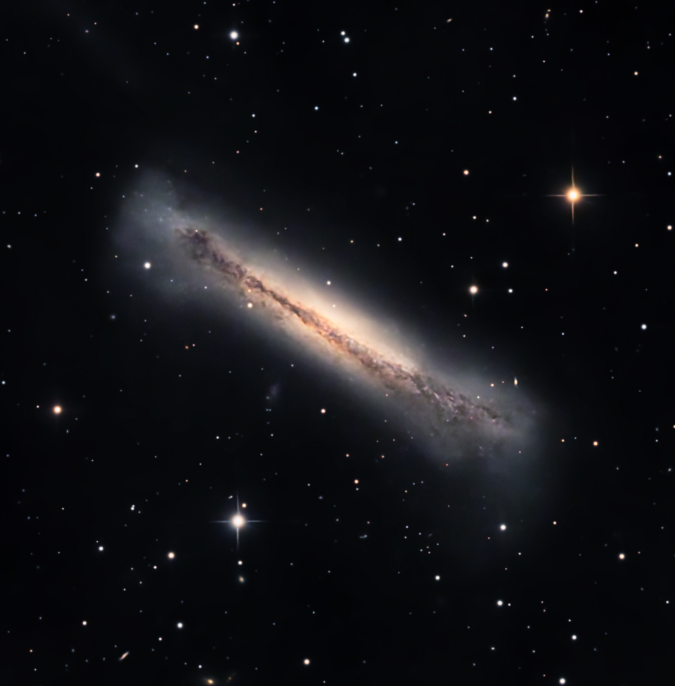 The Hamburger Galaxy