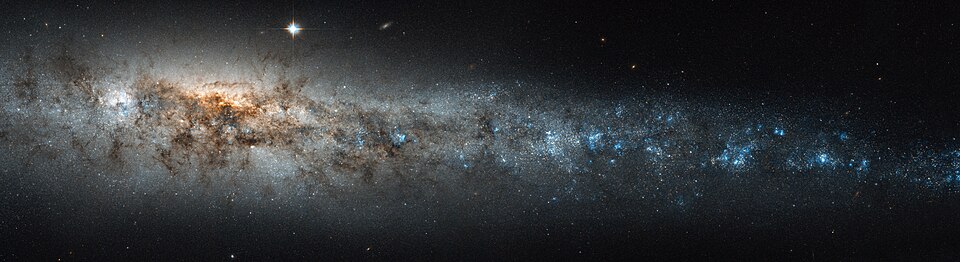 The Whale Galaxy