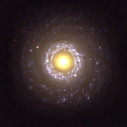 The Fried Egg Galaxy